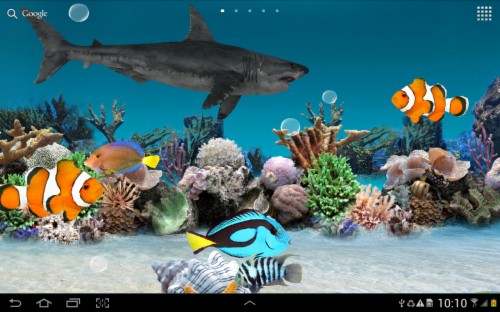 Live Aquarium Wallpaper With Sound 3d Wallpaper Fish Aquarium