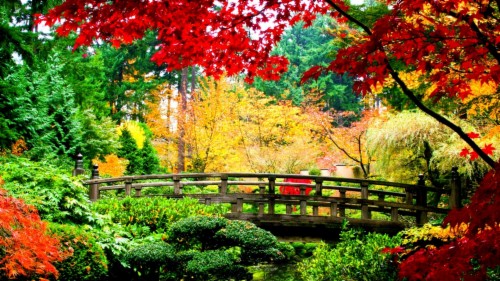 Japanese Wallpapers - Autumn Wallpaper Japan (#140729) - HD Wallpaper ...