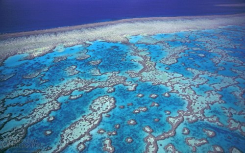 Hd Wallpaper - Great Barrier Reef 4k (#158537) - HD Wallpaper ...