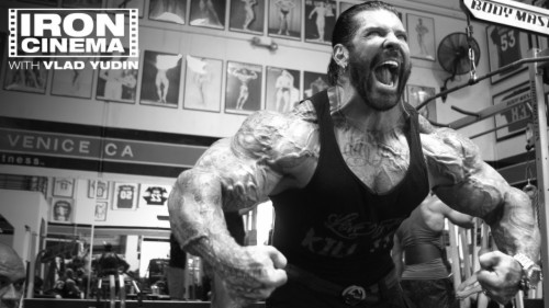 Rich Piana 1099303 Hd Wallpaper Backgrounds Download Images, Photos, Reviews