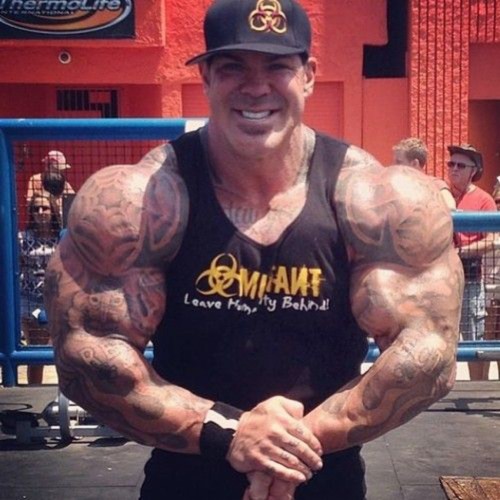 Related Images To Rich Piana Arms Rich Piana 1099616 Hd Images, Photos, Reviews