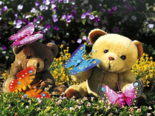 Teddy Bear Wallpaper Download Beautiful Pictures Of Teddy Bears 118659 Hd Wallpaper Backgrounds Download