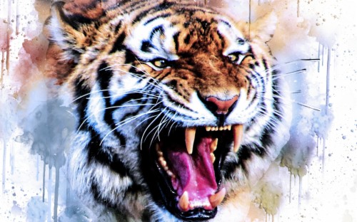 Wallpaper Tiger, Wild, Roar, Art - Snarling Tiger (#1107239) - HD ...