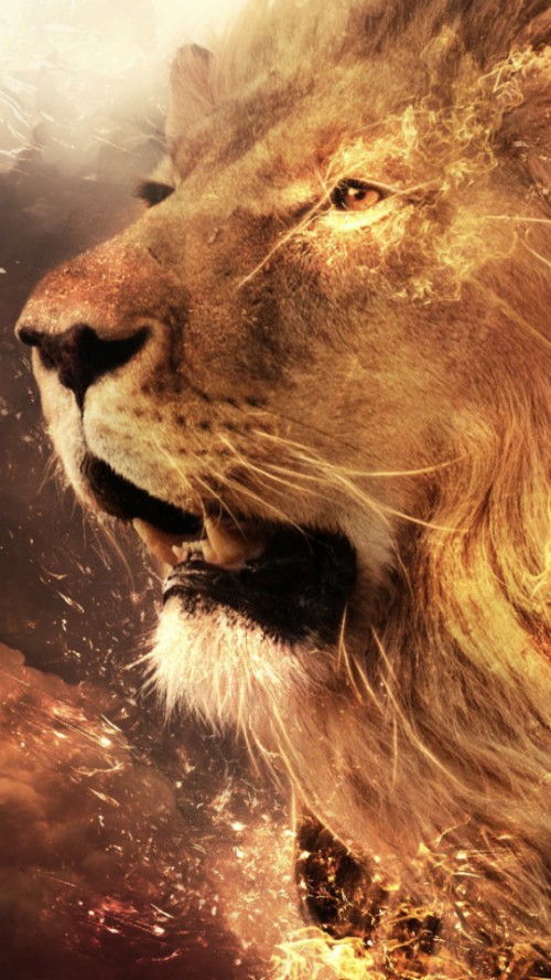 Roaring Wallpaper Lion (#2902314) - Hd Wallpaper & Backgrounds Download