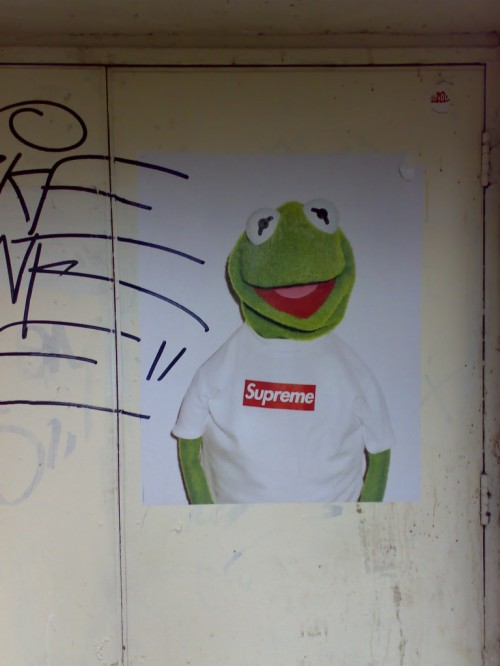 A Kermie Supreme s Kermit The Frog For Supreme Hd Wallpaper Backgrounds Download