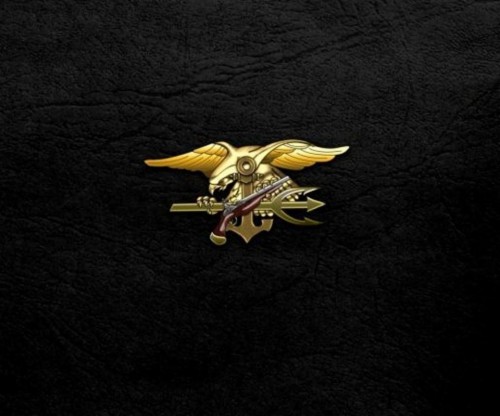 Navy Seal Back Tattoo (#3060636) - HD Wallpaper & Backgrounds Download