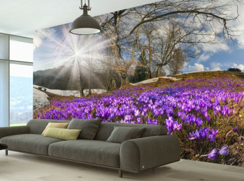 Jerusalem Hd Wallpaper (#1416286) - HD Wallpaper & Backgrounds Download