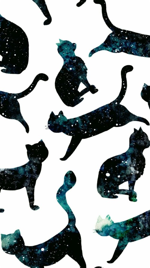 wallpaper cat galaxy galaxy cat wallpaper for phone 122002 hd wallpaper backgrounds download wallpaper cat galaxy galaxy cat