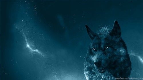 Hd Lone Wolf Pics Lone Wolf Wallpapers Hd 369117 Hd Wallpaper Backgrounds Download World of warcraft dual monitor wallpaper. lone wolf wallpapers hd