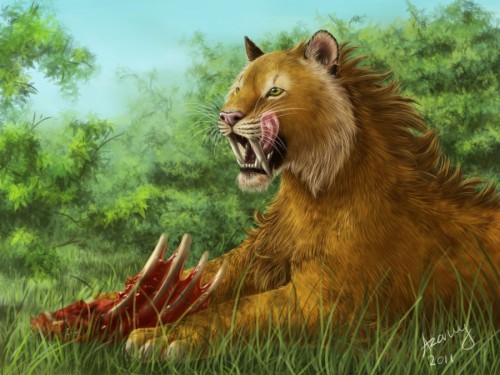 10 Best Saber Tooth Tiger Wallpapers Full Hd 1920×1080 - Saber Toothed ...