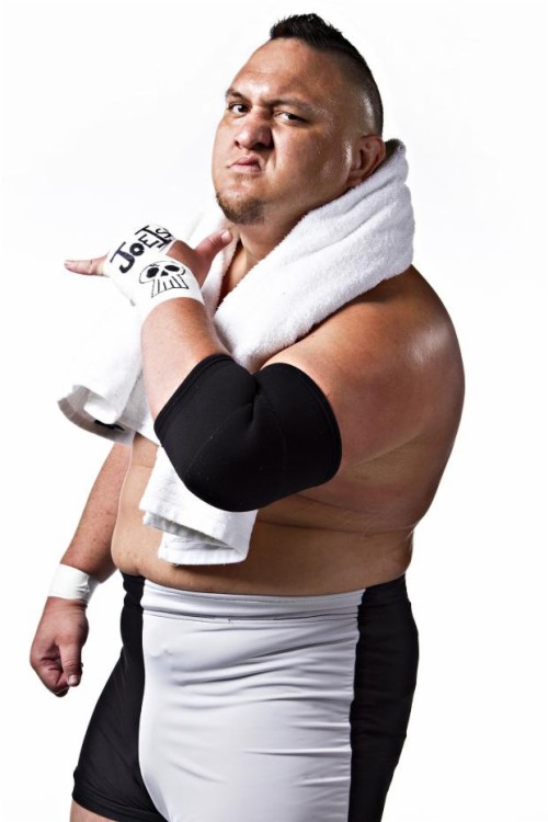Samoa Joe Wallpaper (#1218798) - HD Wallpaper & Backgrounds Download