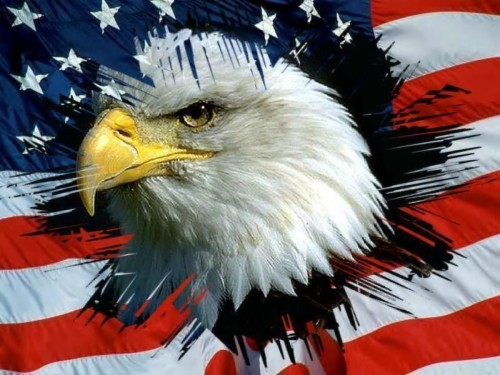 Eagles Flags Usa Uncle Sam Patriotic Redneck Fresh - Bandera De Eeuu ...
