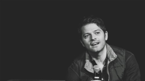 Misha Wallpaper (#1779657) - HD Wallpaper & Backgrounds Download