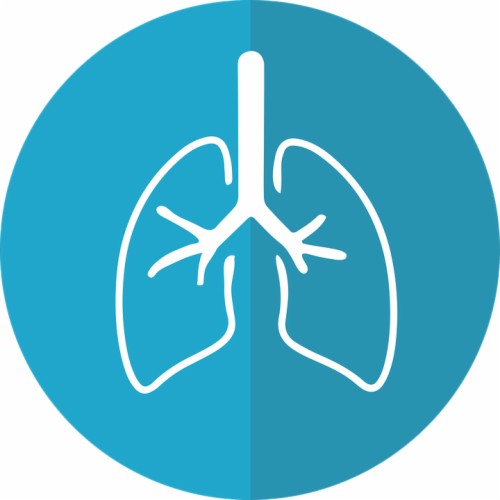 Lungs, Lung Icon, Respiration - Acute Respiratory Infection Icon ...