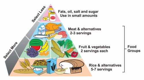 Food Chain Pyramid - Health Tips In Nepali (#1263544) - HD Wallpaper ...