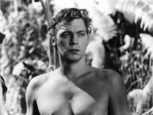 Tarzan Car Wallpaper - Johnny Weissmuller (#1263996) - HD Wallpaper ...