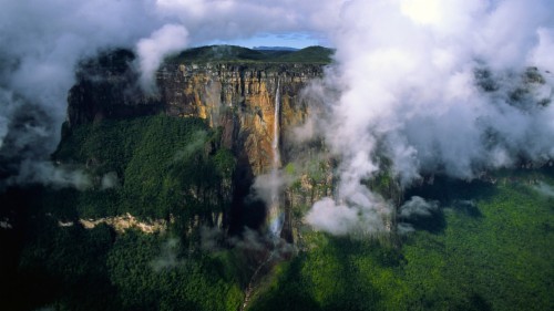 Wallpapers Venezuela Arboles Y Bosques Perturbadores - Angel Falls ...