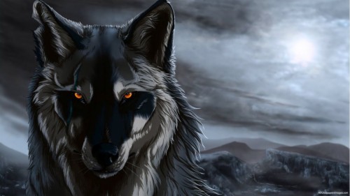Wolf Anime Wallpaper Hd 130021 Hd Wallpaper Backgrounds Download