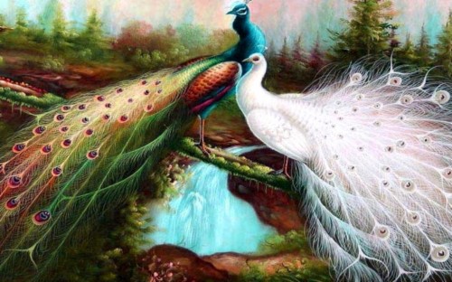 3d Wallpaper Mural Beautiful Peacock In Dream Forest Home Decor Living Room  Bedroom Wallcovering HD Wallpaper, Wallpaper Iphone Peacock