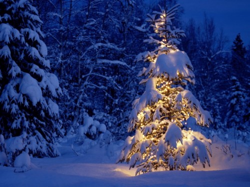 Winter Cabin Wallpaper - Christmas Fireplace Log Cabin (#1389337) - HD ...