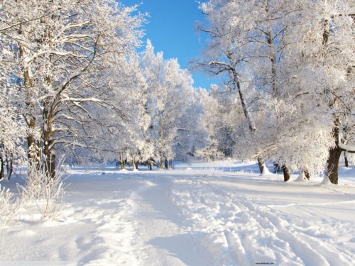 List of Free Winter Wallpapers Download - Itl.cat