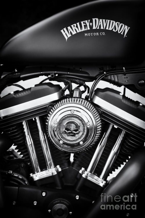 Harley Davidson Iphone Wallpaper Harley Davidson Iron 8 Mobile Hd Wallpaper Backgrounds Download