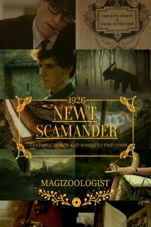 Wallpaper Newt Scamander Fantastic Beasts 1039154 Hd Wallpaper Backgrounds Download