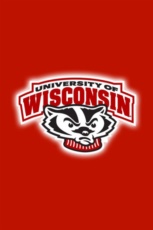 Background Wisconsin Badgers Logo (#3283360) - HD Wallpaper ...