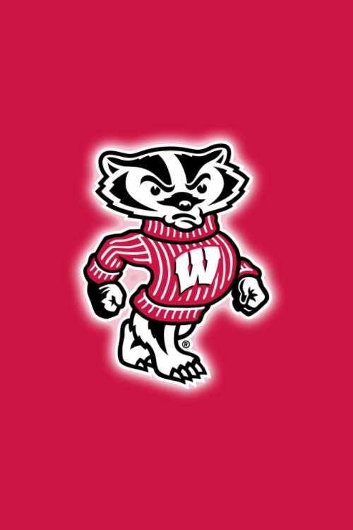 Background Wisconsin Badgers Logo (#3283360) - HD Wallpaper ...