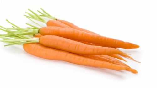 Carrot Images Drawing Outline