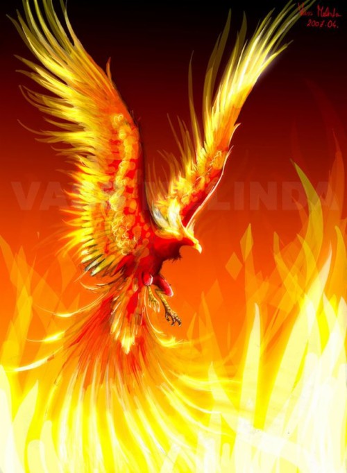 Phoenix - Phoenix Bird (#1382339) - HD Wallpaper & Backgrounds Download