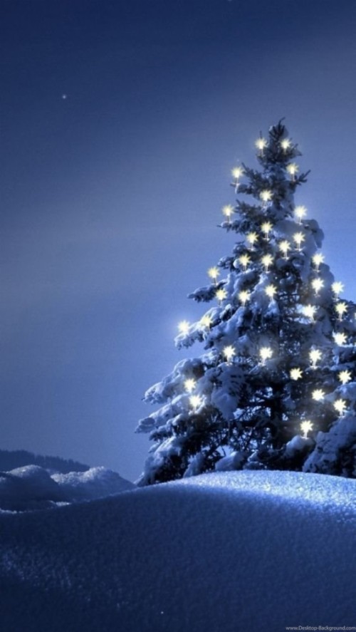 Drawn Christmas Tree Background (#1381895) - HD Wallpaper & Backgrounds ...