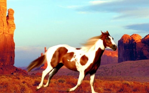 Seven Horses Hd Wallpaper - White Seven Horses Painting (#282144) - HD