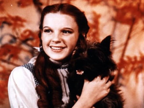 Dorothy And Toto