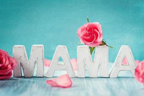 Mama Rose Soft Flower Images - Mamá (#1482459) - HD Wallpaper ...