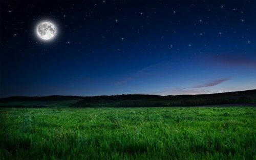 Full Moon Night Wallpaper - Moon Night Hd (#152857) - HD Wallpaper ...