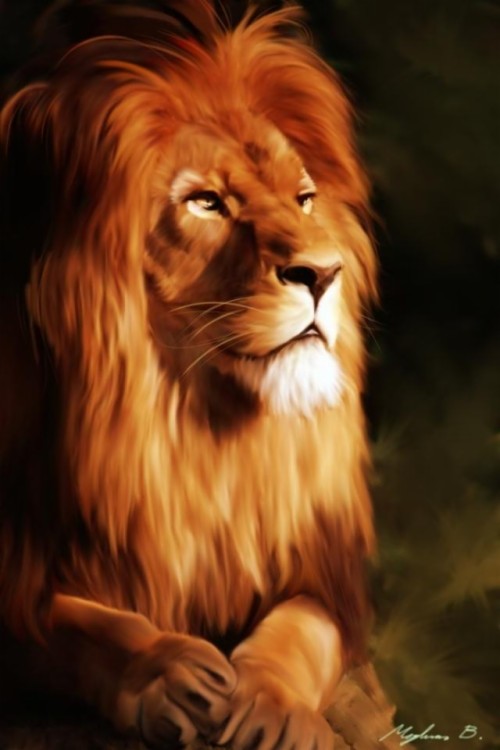 Download Lion Wallpaper Mobile Luxury Lion Animation Wallpaper - 4k