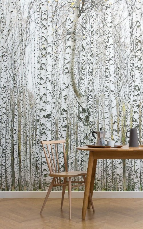 Tree Wallpaper Mural Uk - TUV Wallpaper