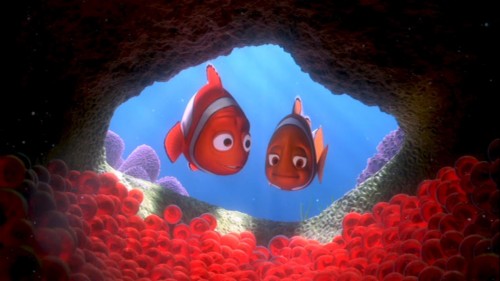 Download - - Clownfish Eggs Finding Nemo (#1537556) - HD Wallpaper ...