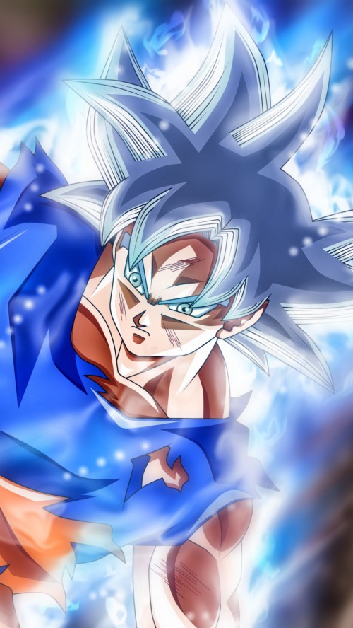 Dragonballz Goku Mastered Ultra Instinct 1576848 Hd