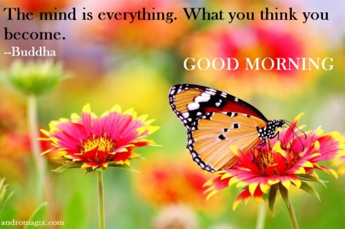 List Of Free Good Morning In Hindi Wallpapers Download Page 2