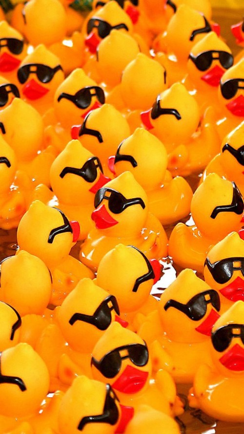 rubber ducks rubber duck wallpaper iphone 1609735 hd wallpaper backgrounds download rubber ducks rubber duck wallpaper