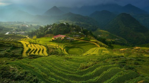 Banaue Rice Terraces, Philippines Hd Wallpaper - Vietnam Landscapes ...