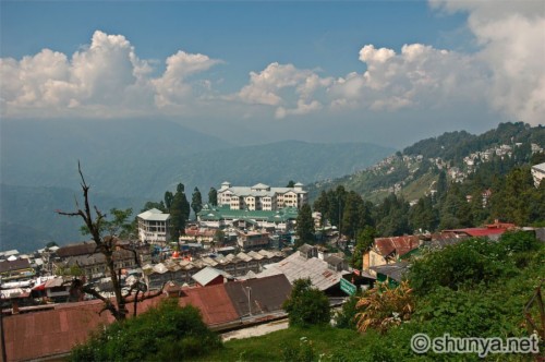 Darjeeling Image - West Bengal Tea Garden (#1619225) - HD Wallpaper ...