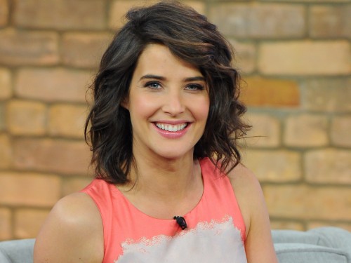 Cobie Smulders Photos Celebrities With Short Dark Hair 1623058