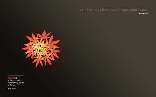 Albert Camus - Calendar Wallpaper October 2009 (#1627430) - HD