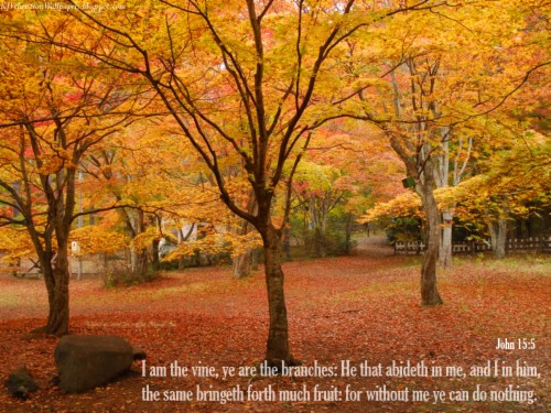 Fall Wallpaper With Scripture Verses - Free Christian Fall (#1646603 ...