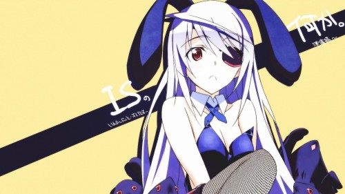 infinite stratos bunny