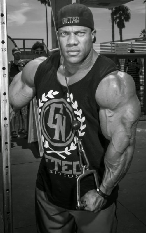 Phil Heath Wallpaper Hd (#1700029) - HD Wallpaper & Backgrounds Download