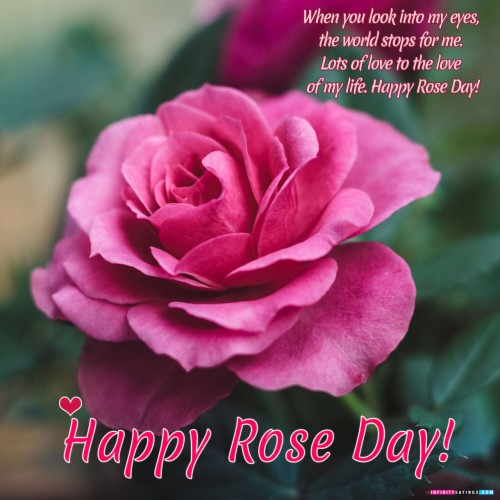 List Of Free Whatsapp Rose Wallpapers Download Itl Cat